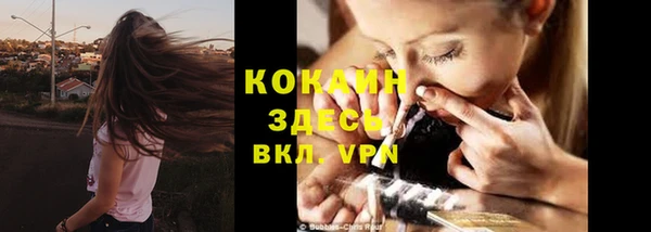 гидра Майский