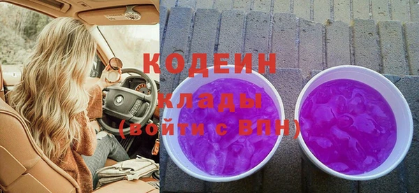 шишки Великий Новгород