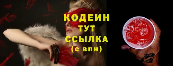 шишки Великий Новгород