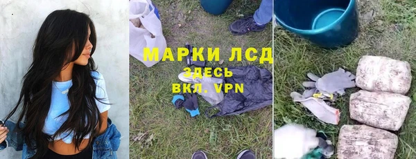 гидра Майский