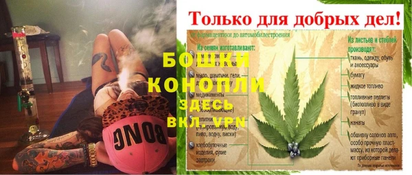 гидра Майский