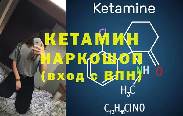 шишки Великий Новгород