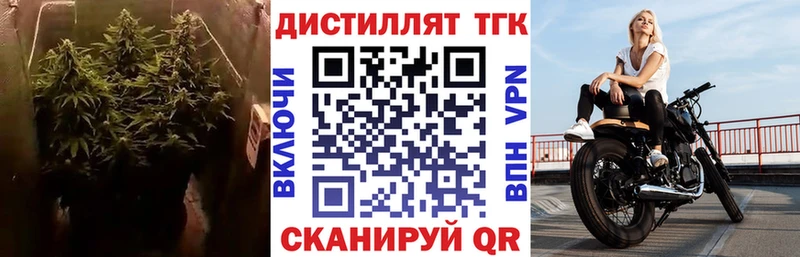 мега ссылка  Томилино  Дистиллят ТГК вейп с тгк  закладка 