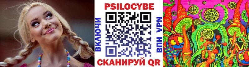 Псилоцибиновые грибы GOLDEN TEACHER  Томилино 